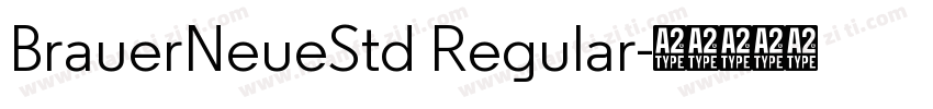 BrauerNeueStd Regular字体转换